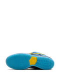 Nike X Powerpuff Girls Sb Dunk