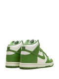 Nike Dunk High