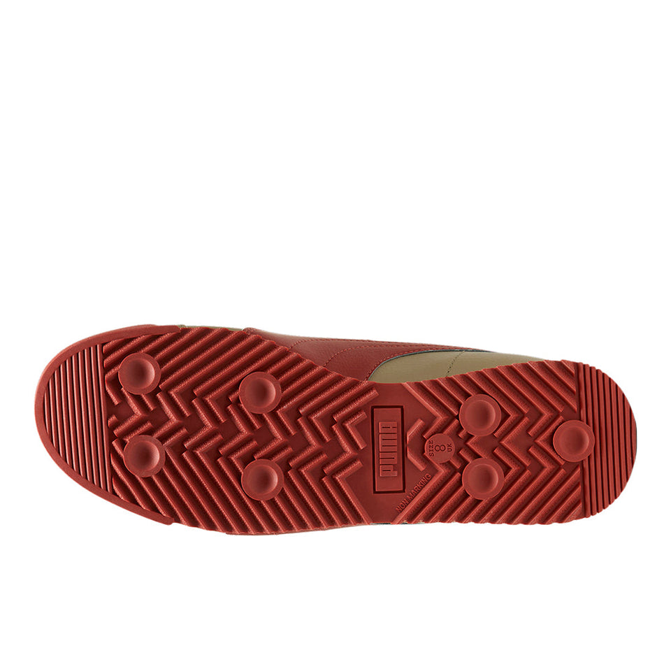 Roma 24 Standard Lace Up Sneakers