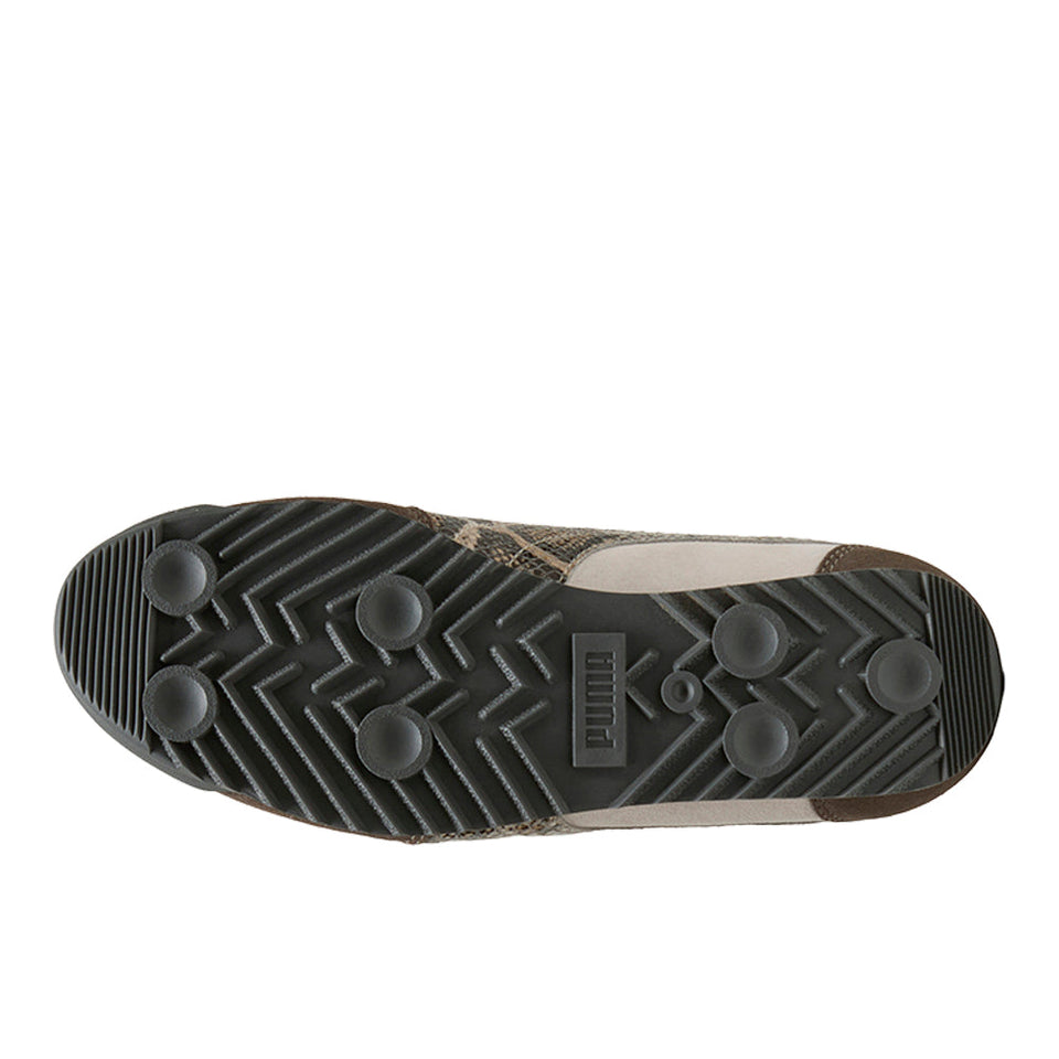 Arizona Snake Sneaker