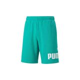 Essentials Big Logo 10 Inch Shorts