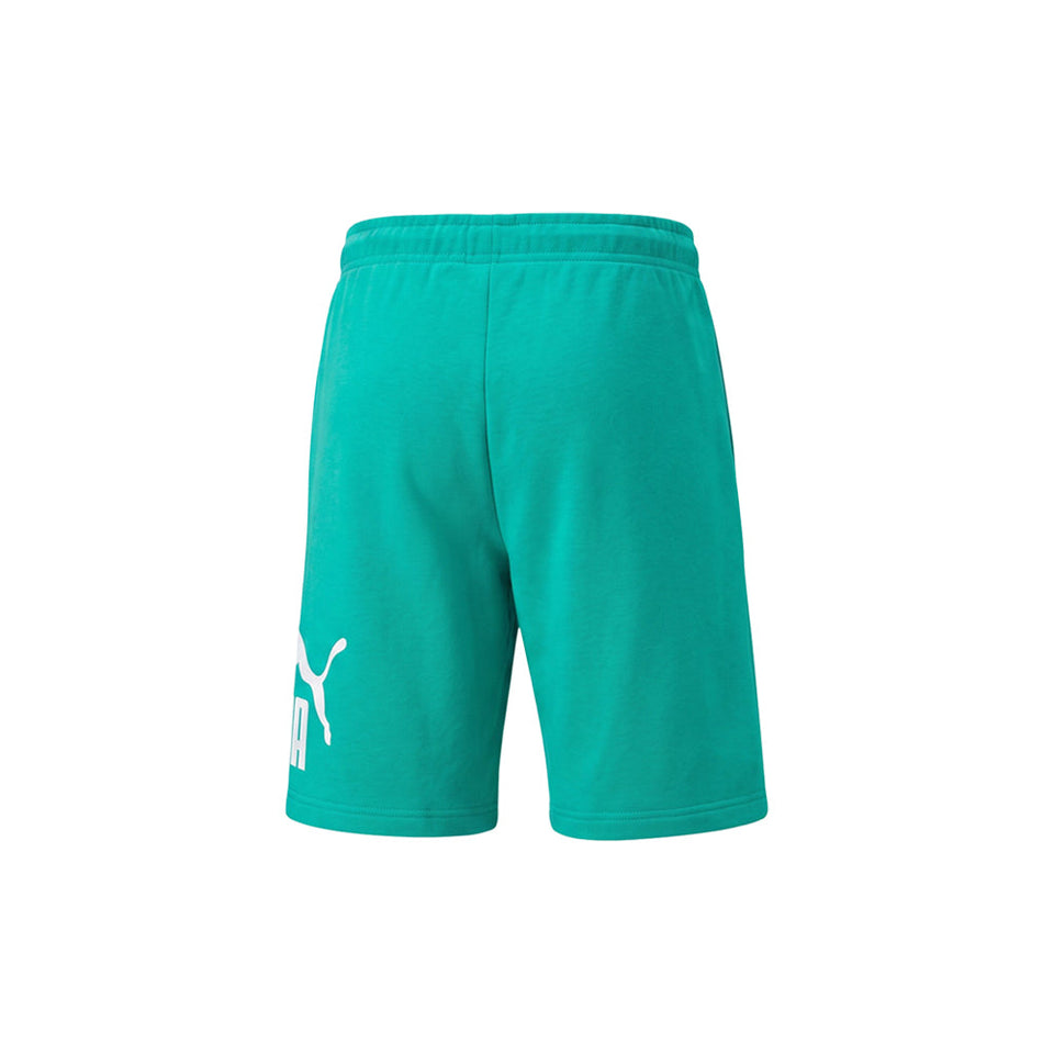 Essentials Big Logo 10 Inch Shorts
