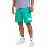 Essentials Big Logo 10 Inch Shorts