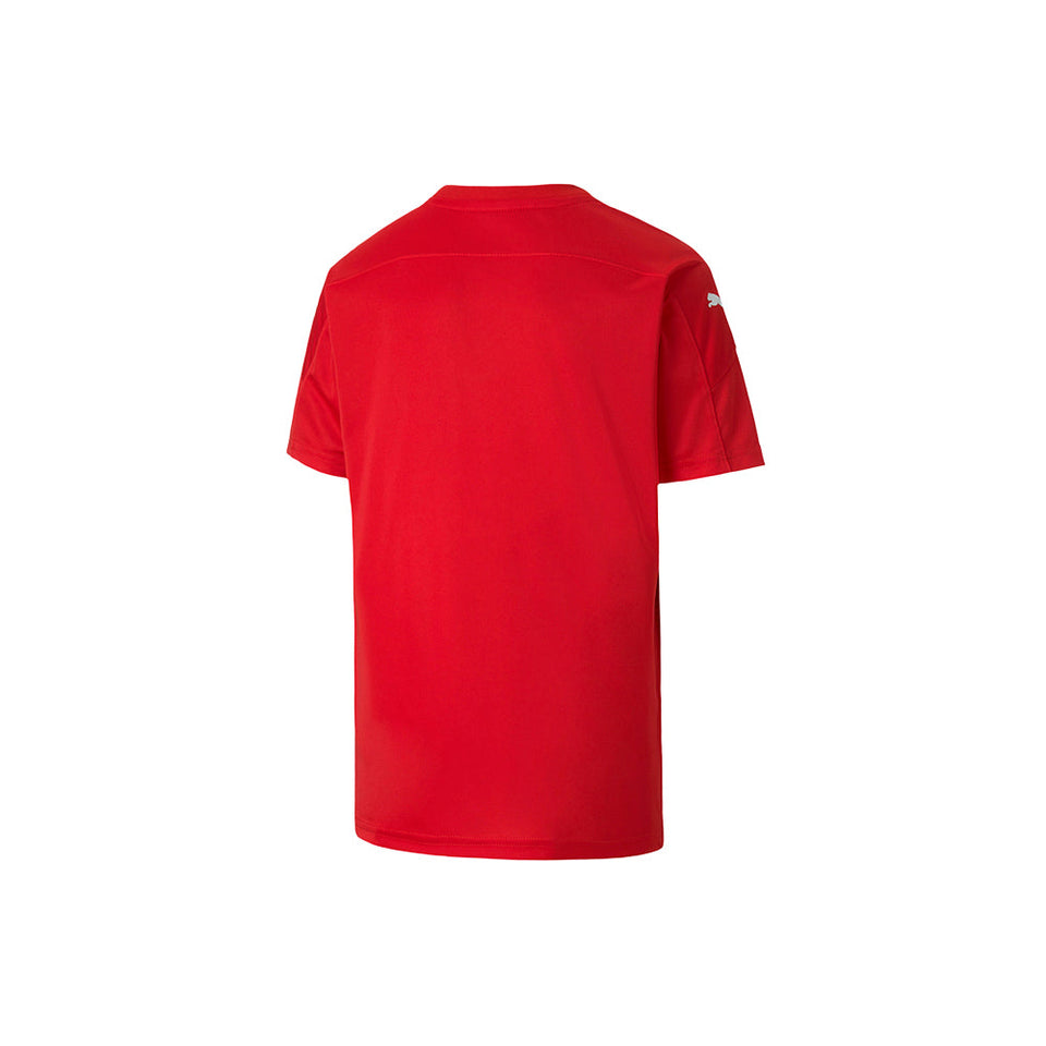 Teamfinal 21 Graphic V-Neck Short Sleeve Soccer Jersey (Youth)