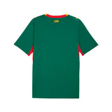 Senegal Away Crew Neck Short Sleeve Replica Jersey