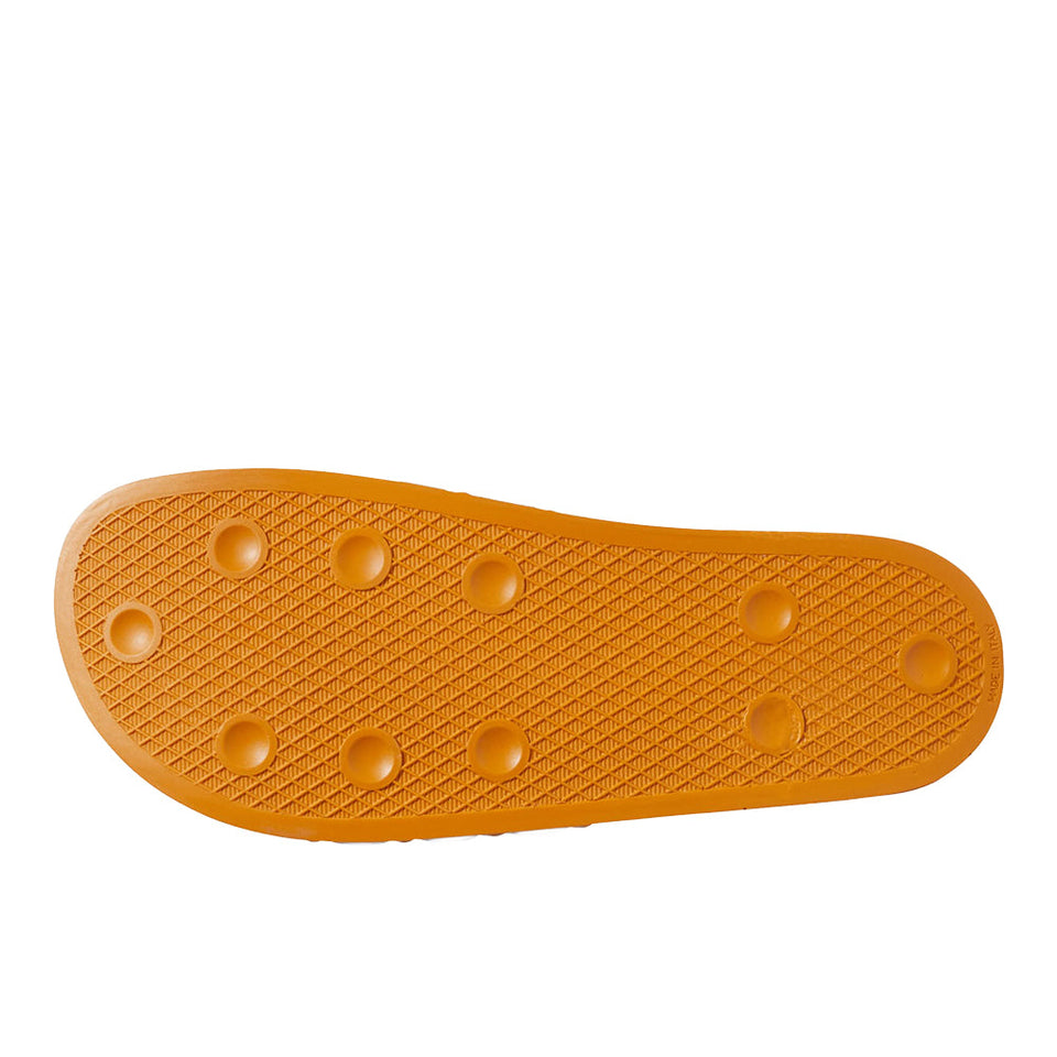 Tennessee Volunteers Performance Slide