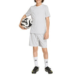 Entrada 26 Jersey (Youth)