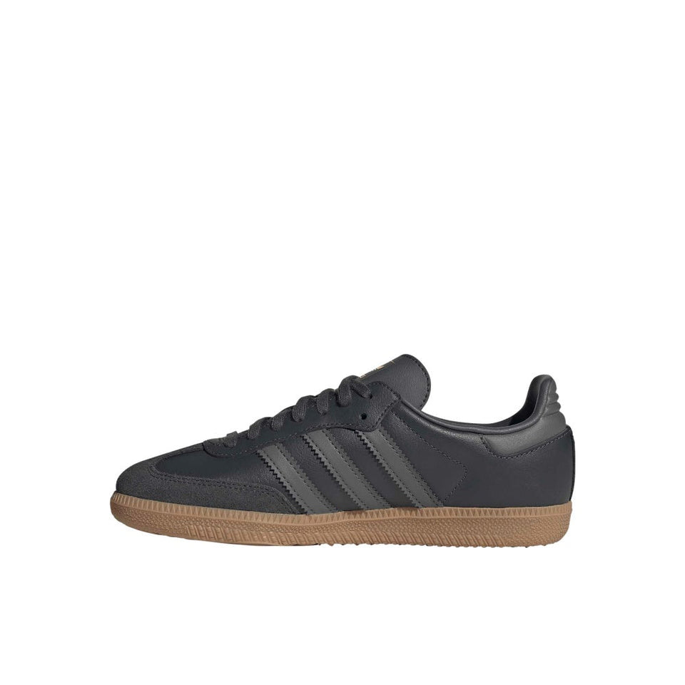 Samba OG Shoes