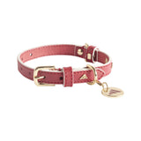 Pet Collar Liverpool FC