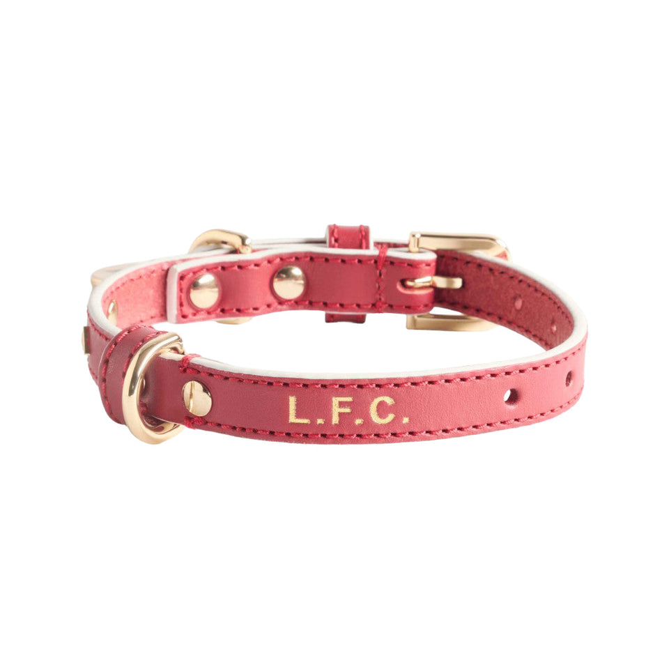 Pet Collar Liverpool FC