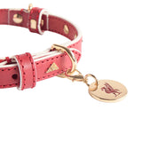 Pet Collar Liverpool FC