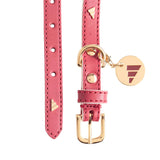 Pet Collar Liverpool FC